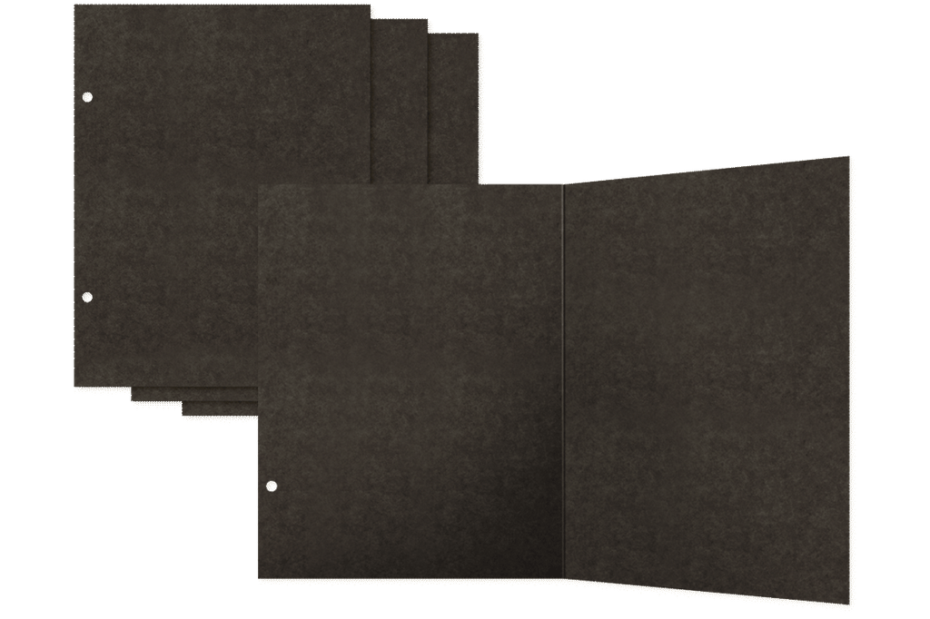 Check Binder Album with Interactive Pages — Black