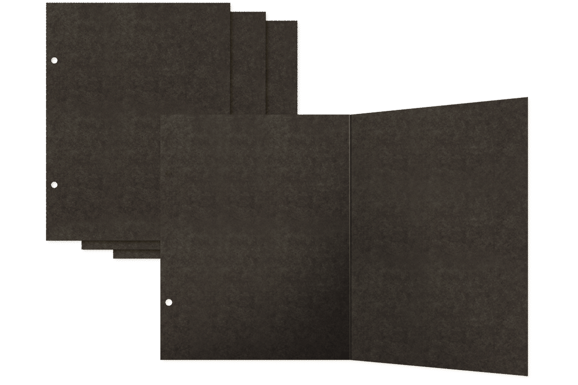 Check Binder Album with Interactive Pages — Black