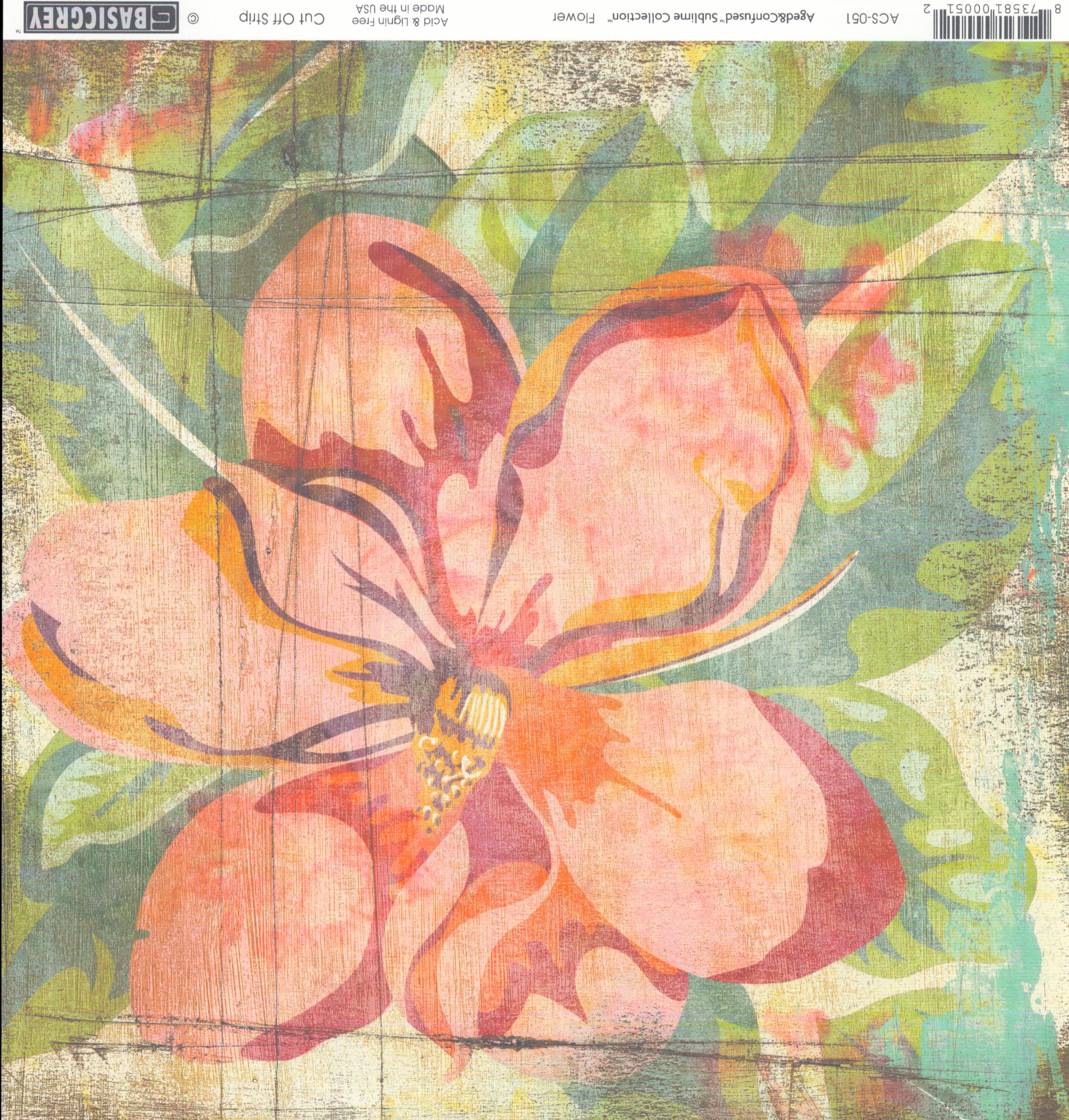 Flower 12x12 cardstock by BasicGrey Aged and Confused Sublime Collection, featuring a large painterly hibiscus tropical flower in soft coral peach and pink with orange and burgundy details on a distressed teal sage green leafy background
