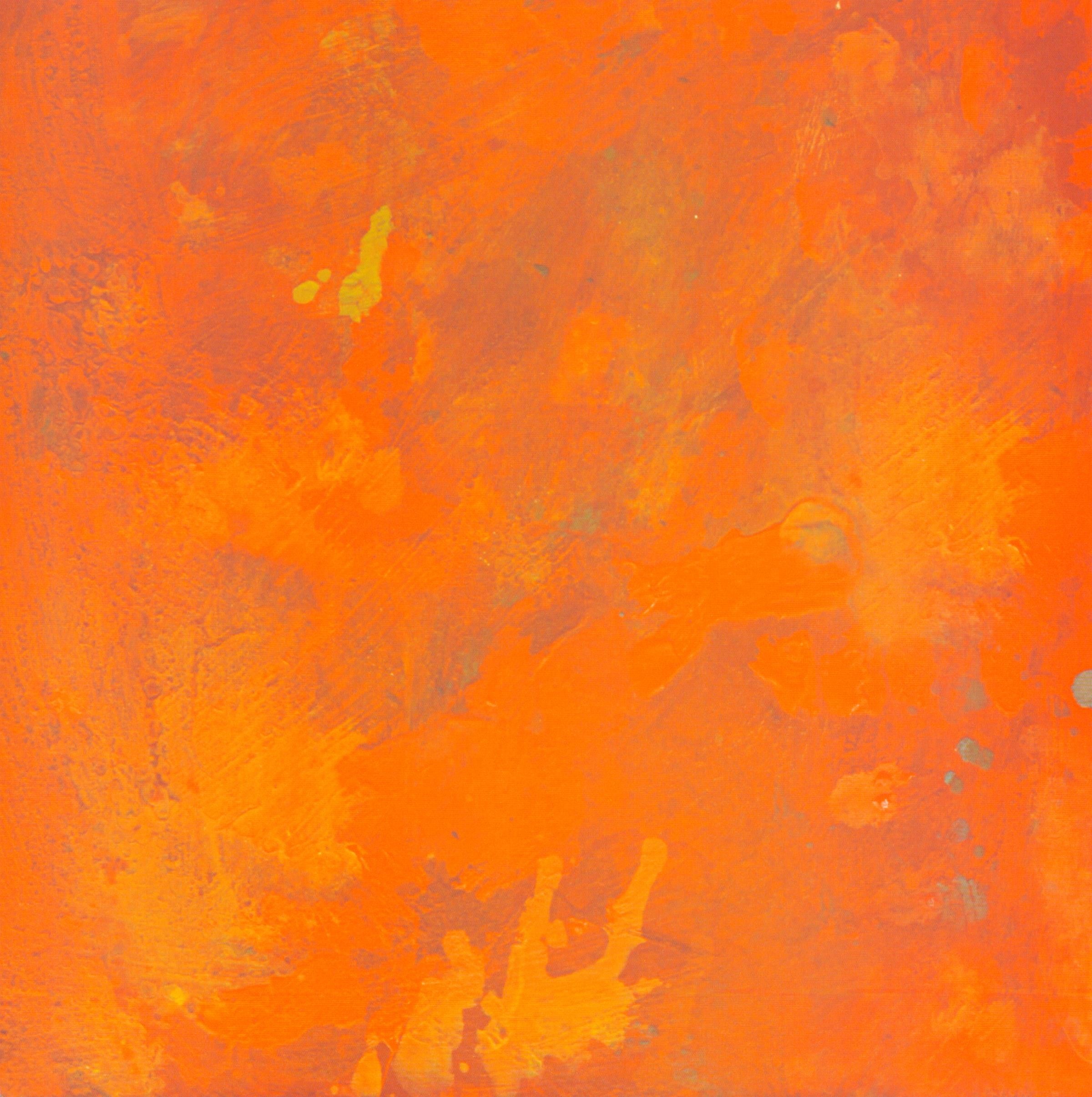 California Poppies
