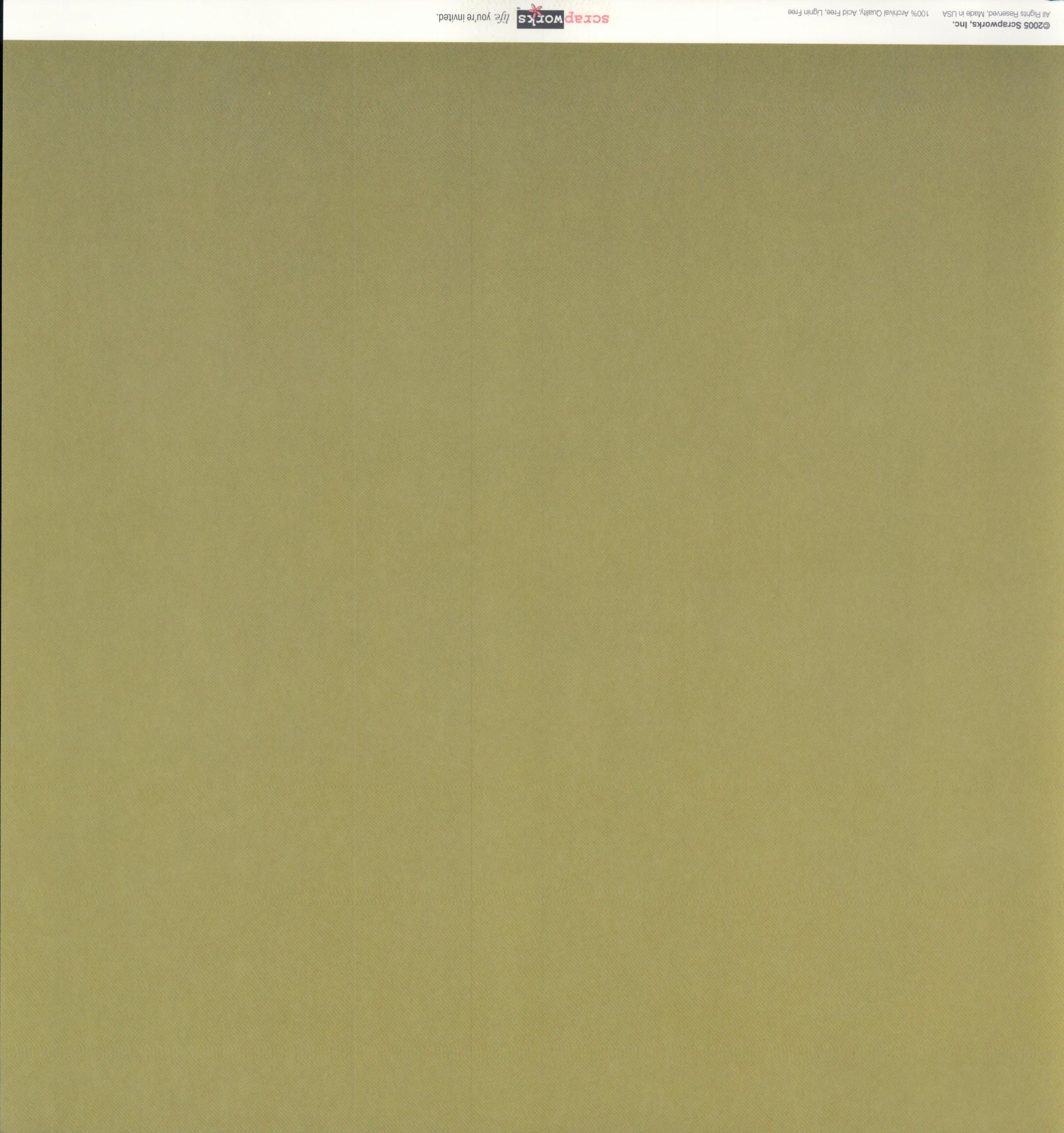 Scrapworks Casuals Brush Stripe solid olive side