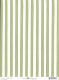 CESAS8 Celery Sassy Stripes