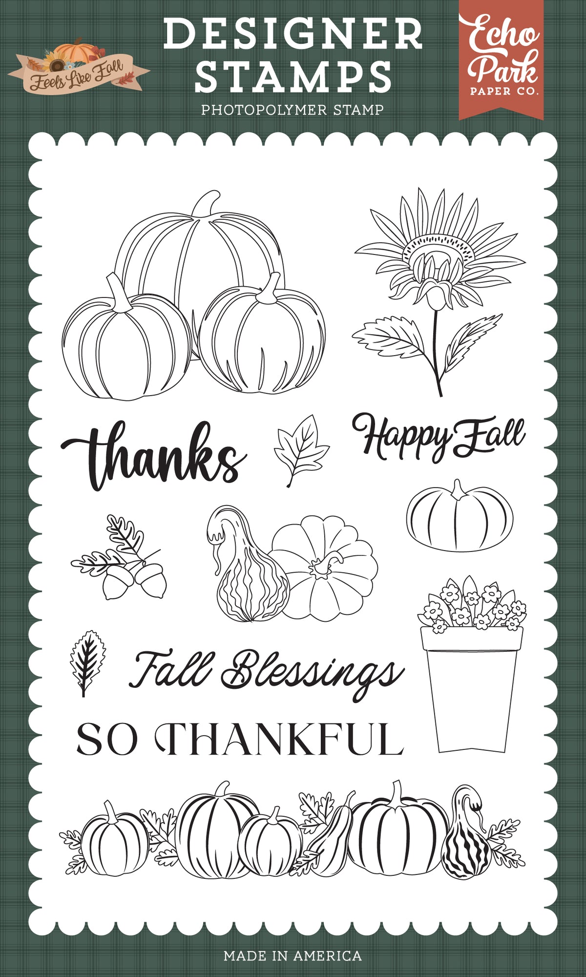 Feels Like Fall Squash and Pumpkins 4×6 Stamp Set