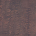 Fern Memory