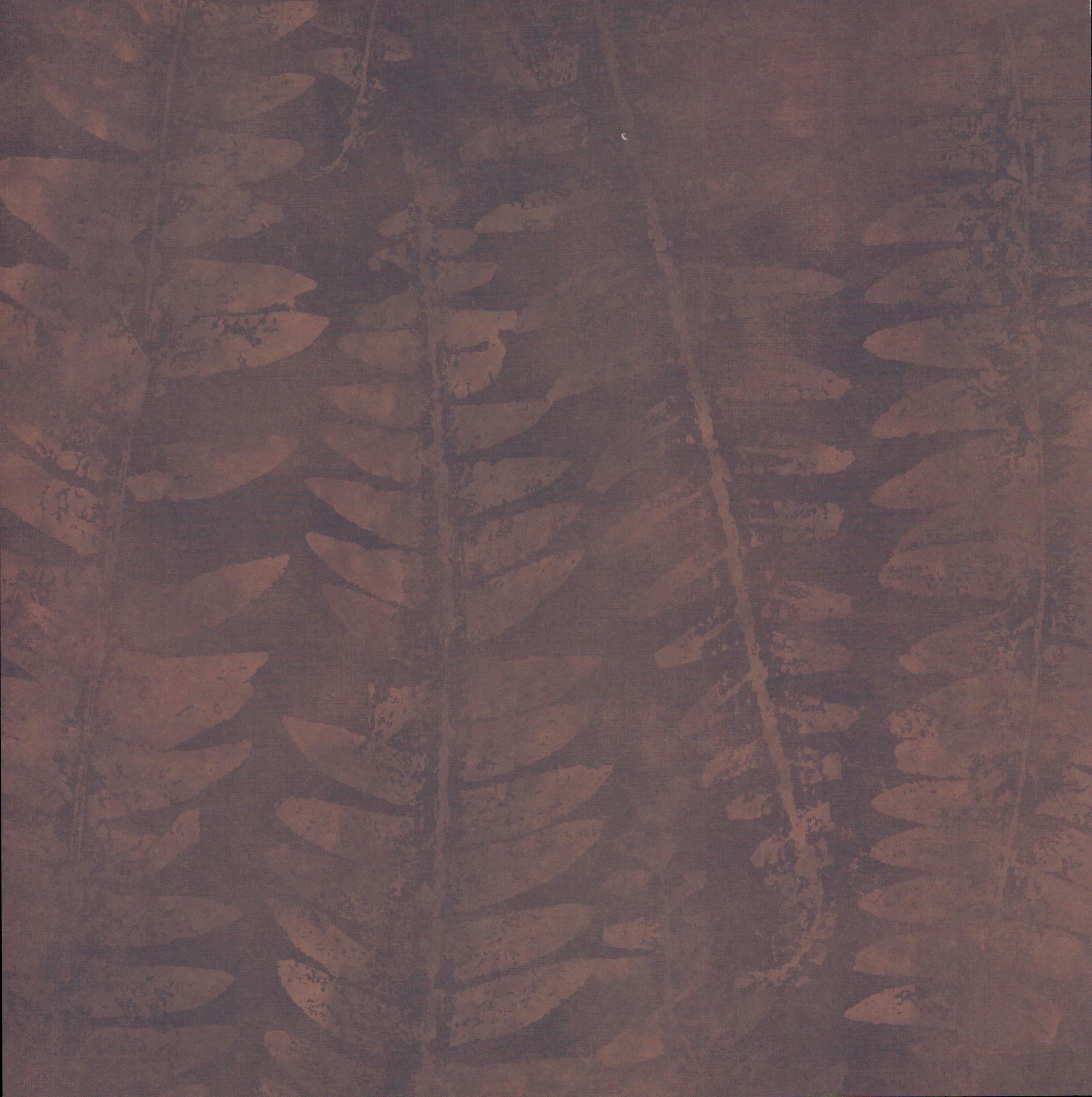 Fern Memory