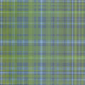 Forest Of Plaid