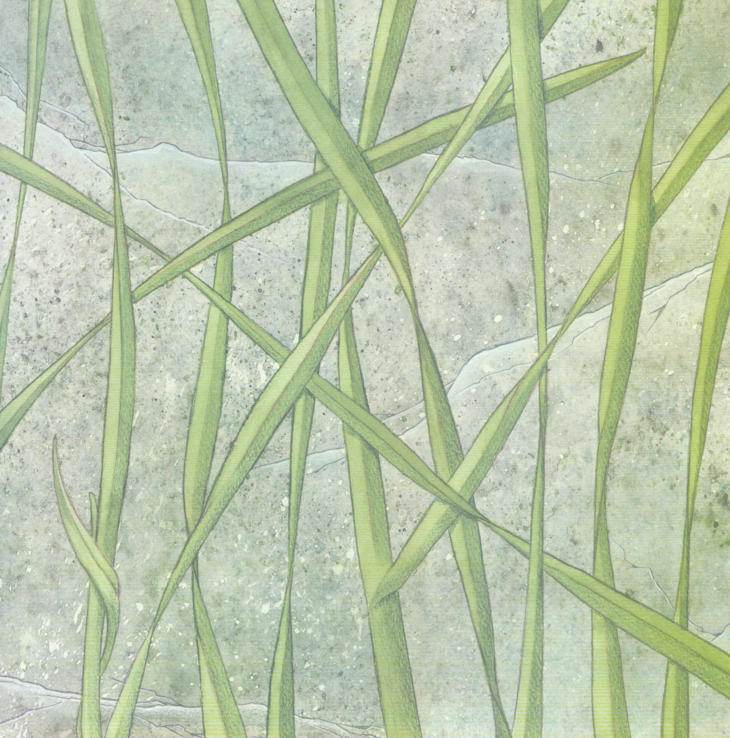 Grass Wall