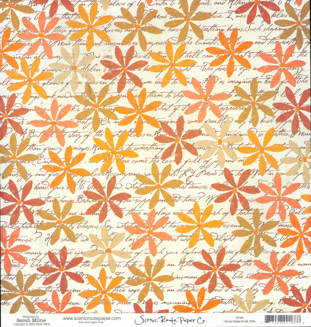Harvest Daisies Small While