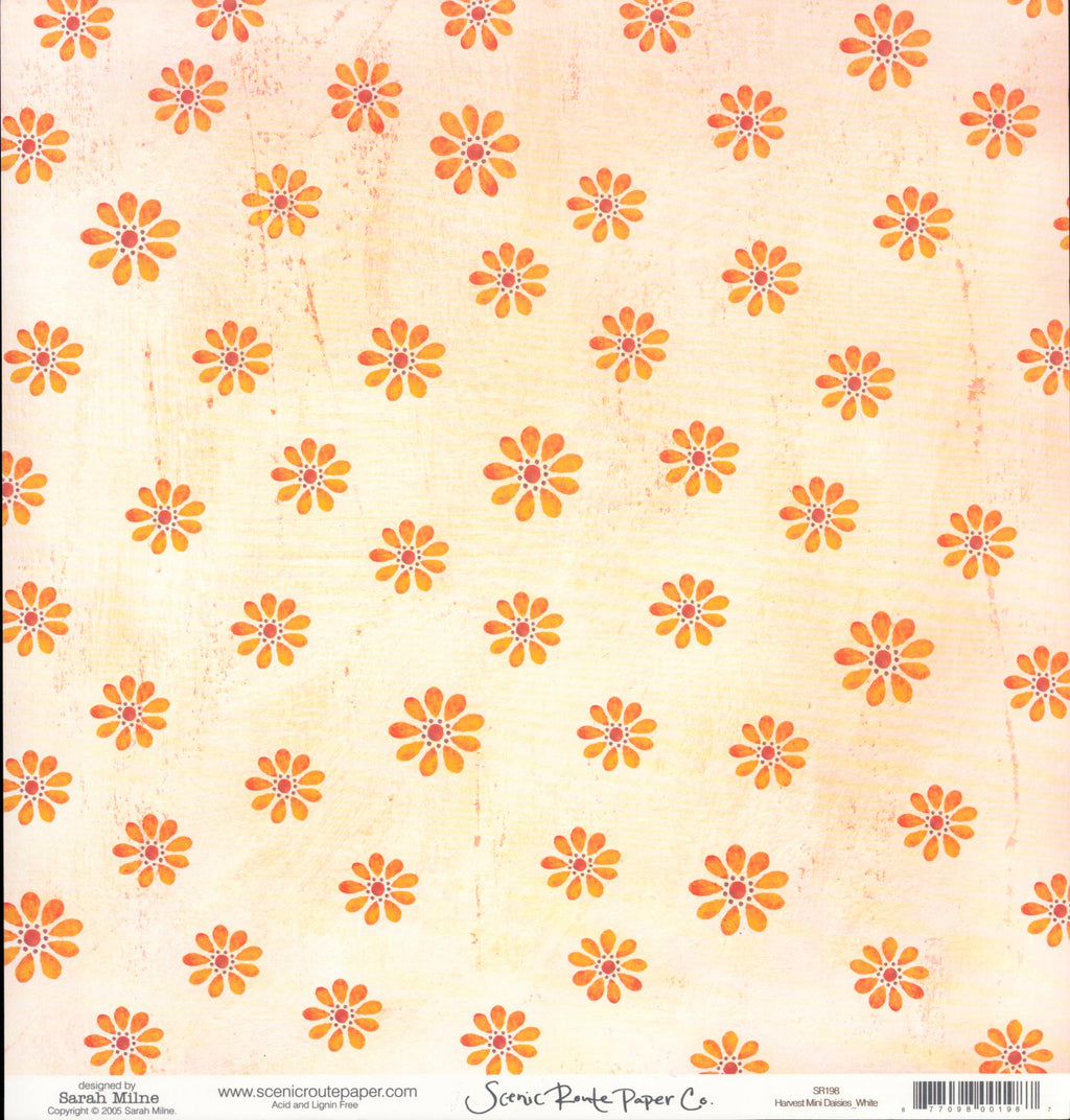 Harvest Mini Daisies White