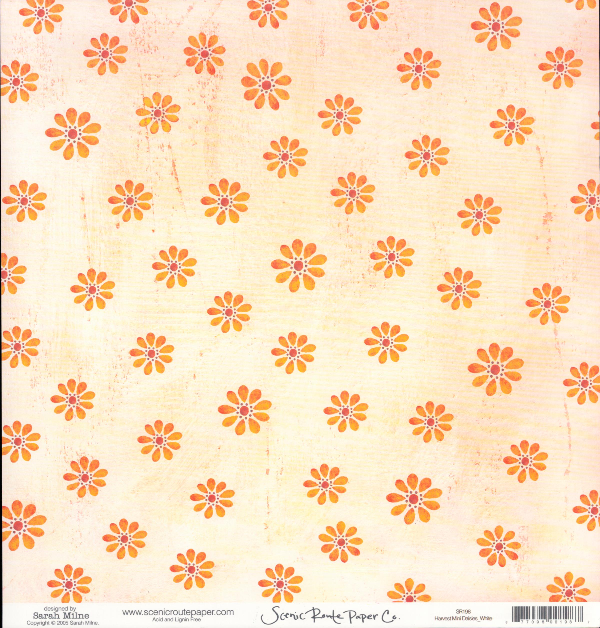 Harvest Mini Daisies White
