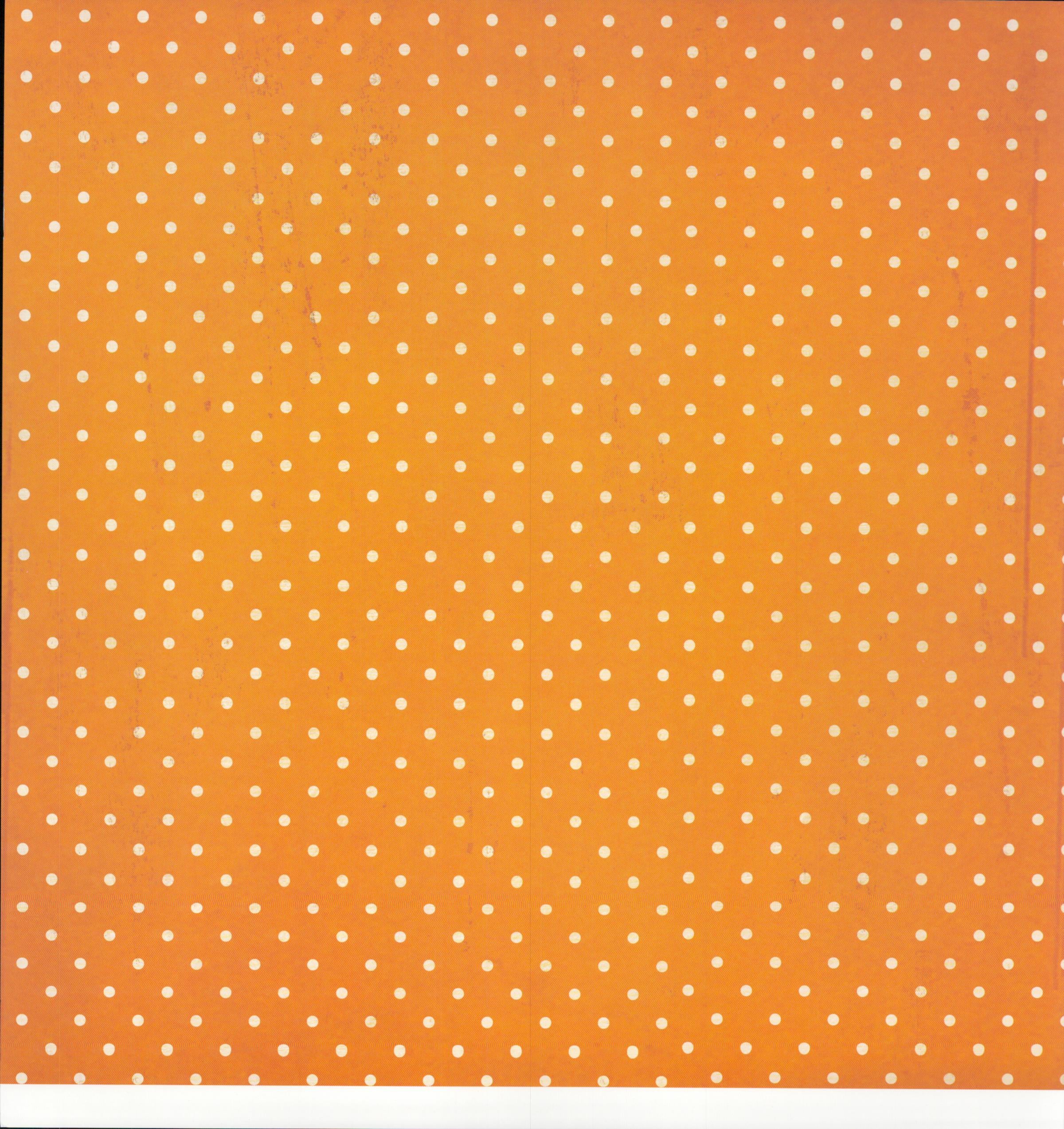 Harvest Silly Stripe White