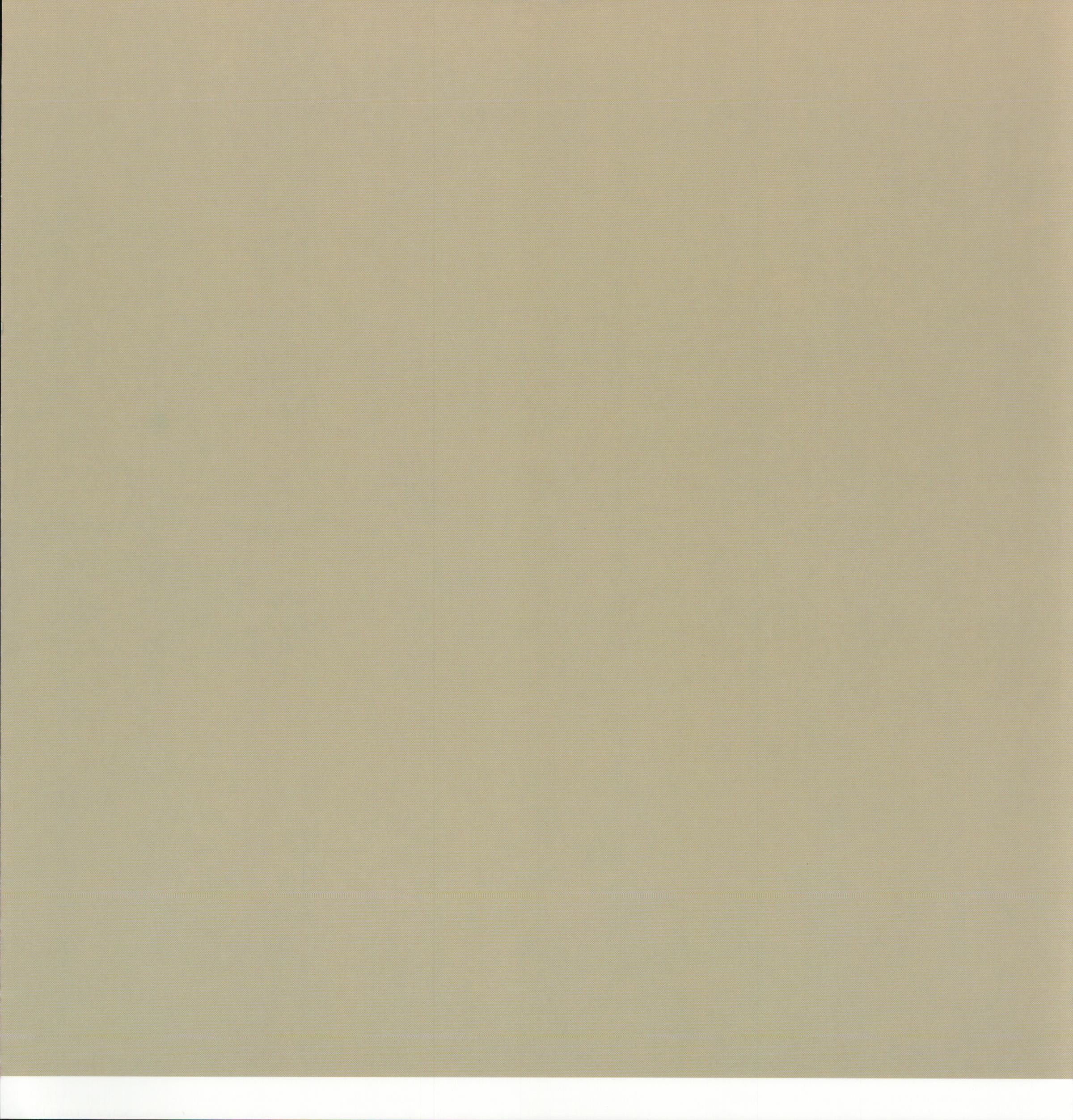 SEI Seasoned Delicious Dots - reverse side solid khaki/sage tan 12x12 cardstock