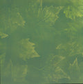 Leaf Memory