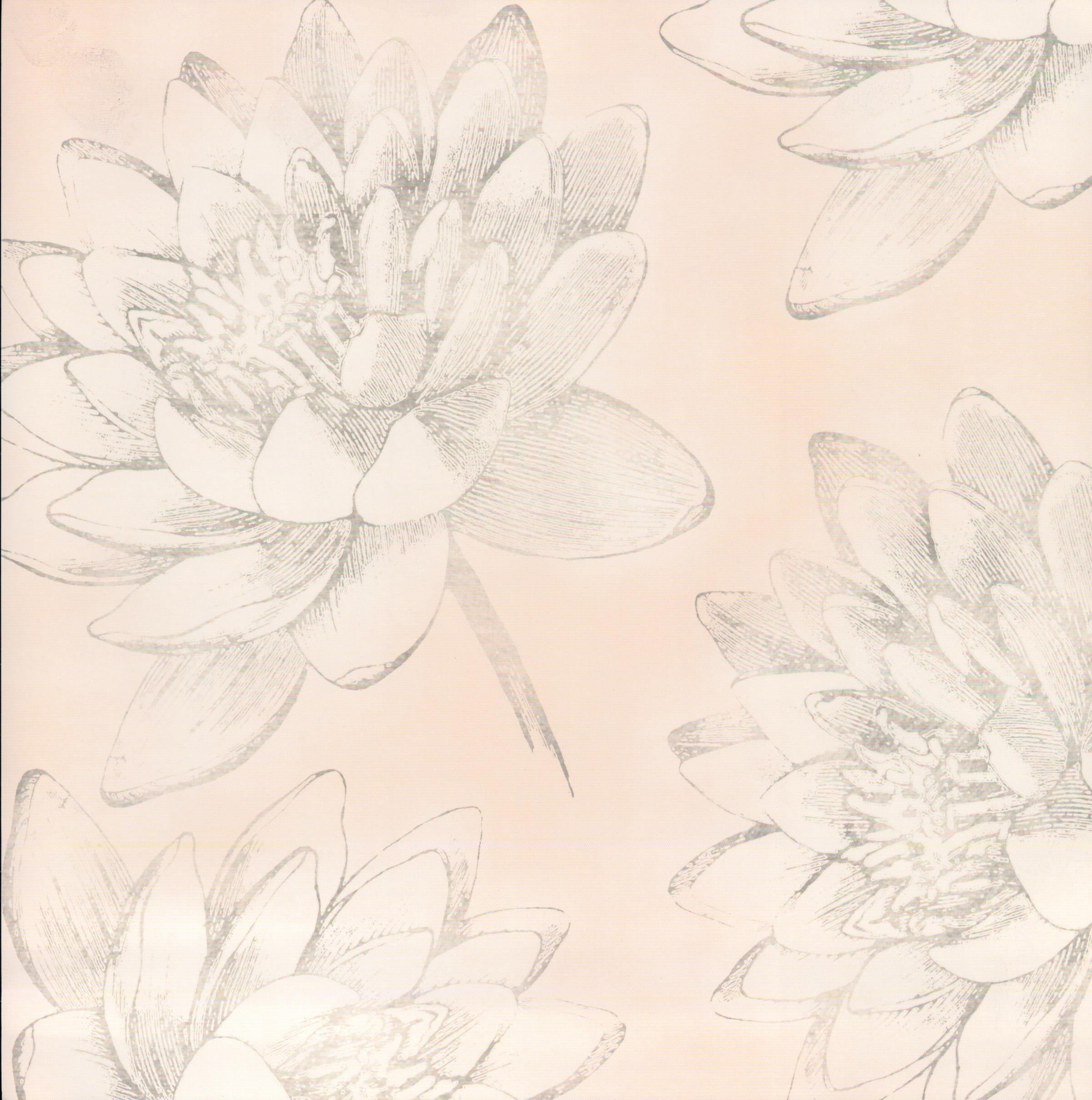 Pink Lilies