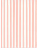 PGSAS8 Pink Grapefruit Sassy Stripes