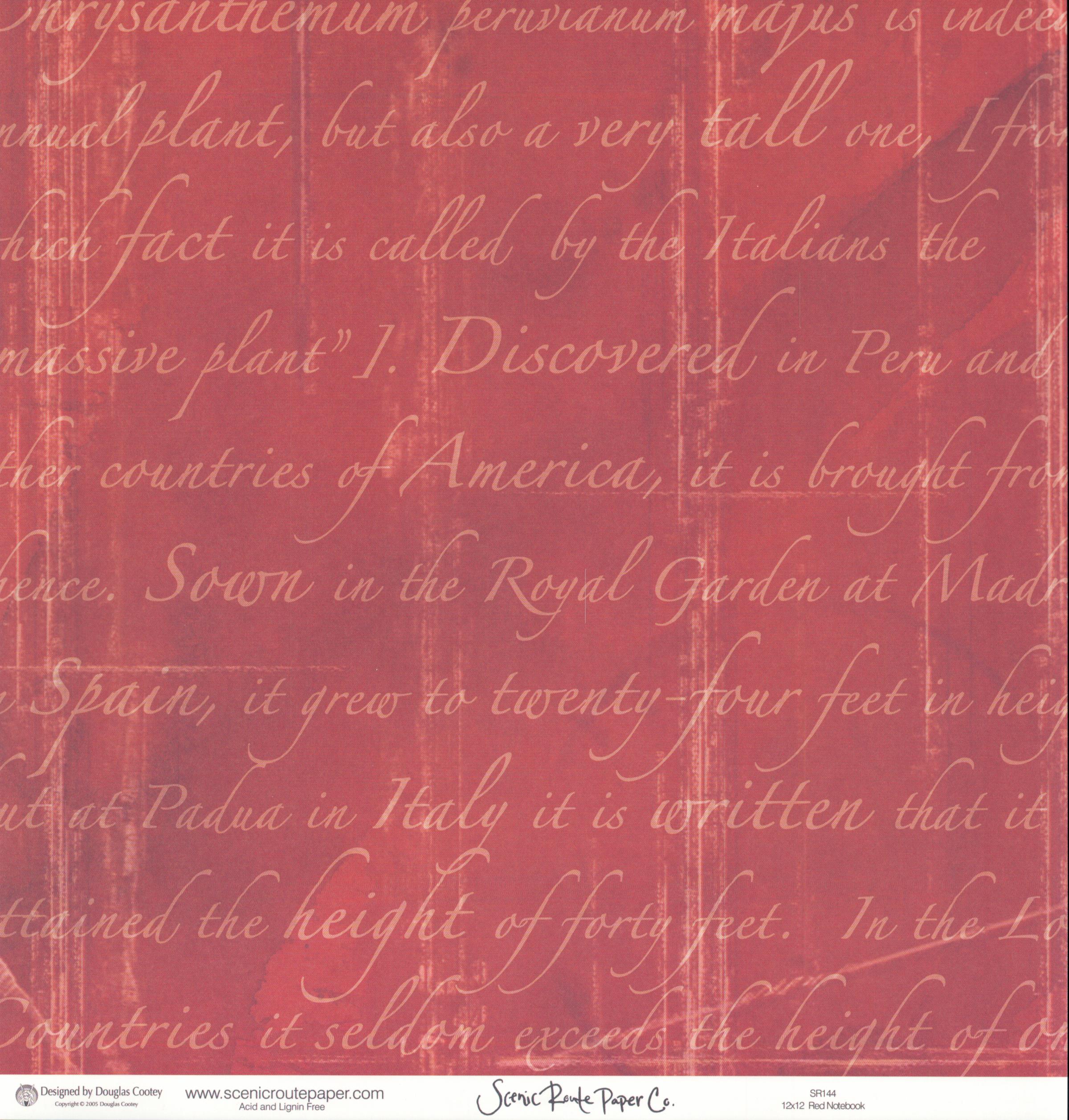 Big Red Daisy - Red Notebook