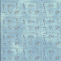 Design Originals Seashells 12x12 Collage Paper - repeating Some Forms of Shells botanical panels on powder blue