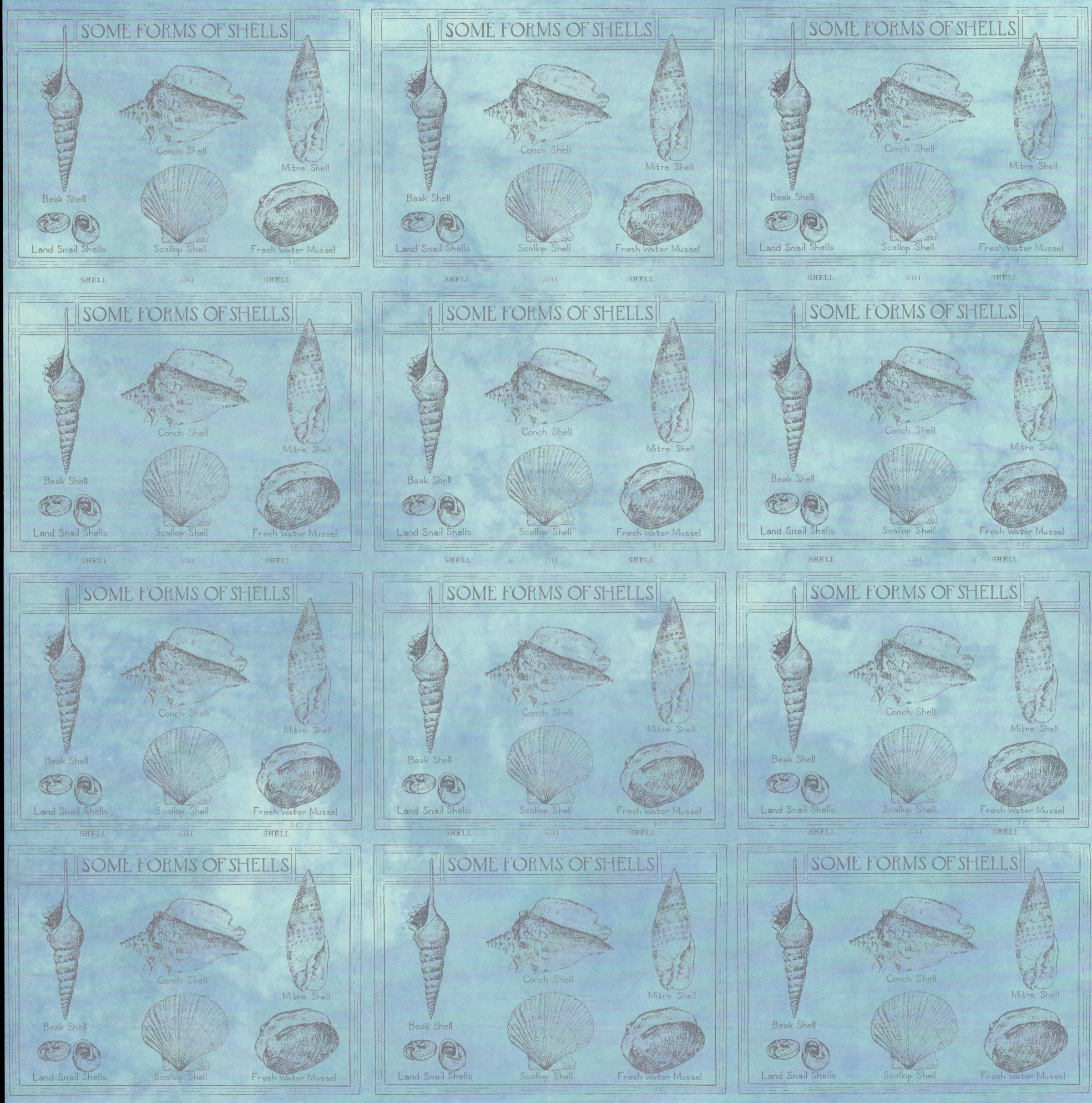 Design Originals Seashells 12x12 Collage Paper - repeating Some Forms of Shells botanical panels on powder blue