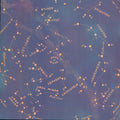Star Gazing