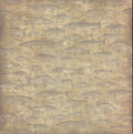 Karen Foster Design Tan Fish Texture 12x12 - allover labeled freshwater fish species (Trout, Bass, Walleye, Pike, Catfish) on warm golden tan
