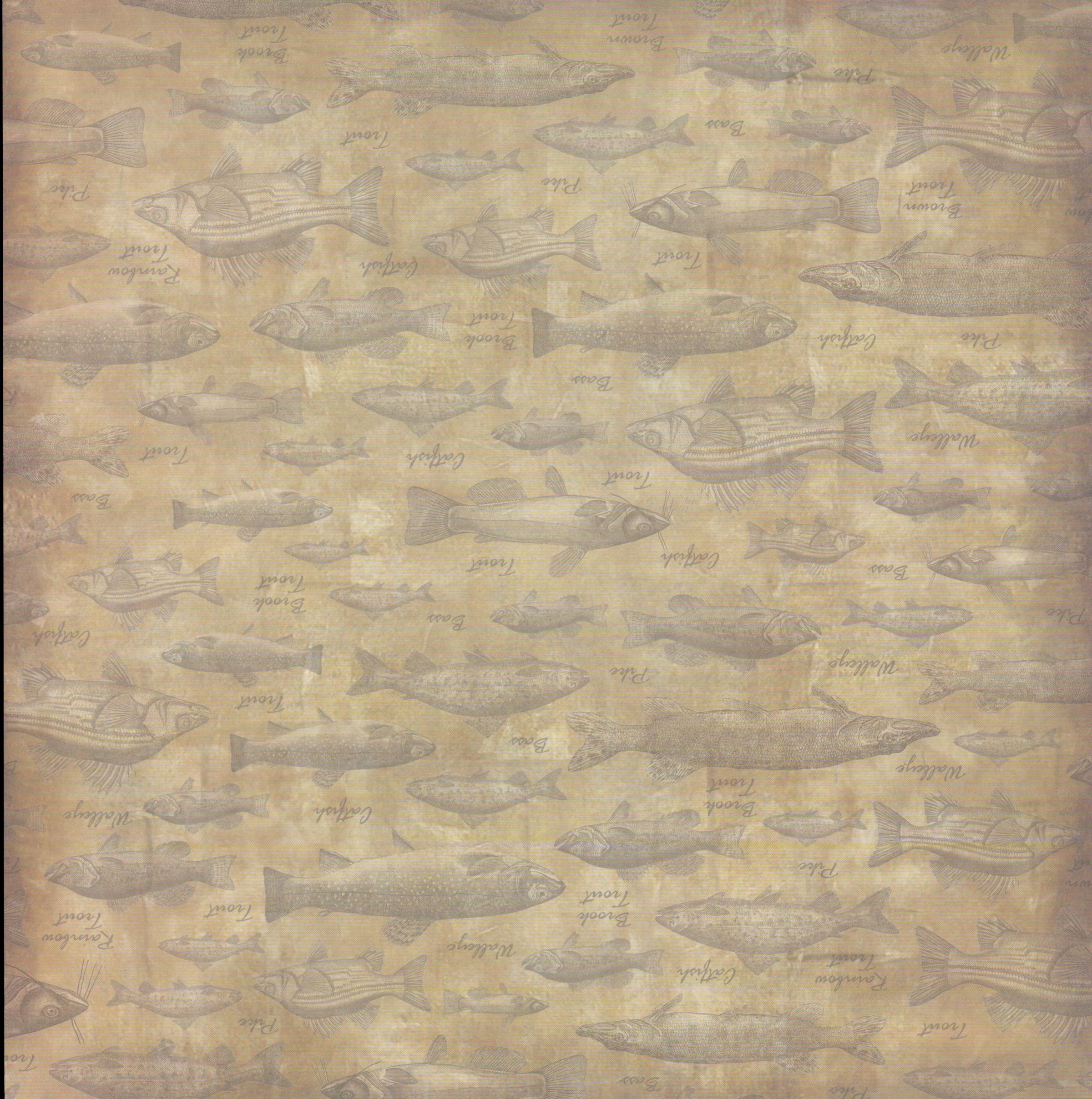 Karen Foster Design Tan Fish Texture 12x12 - allover labeled freshwater fish species (Trout, Bass, Walleye, Pike, Catfish) on warm golden tan