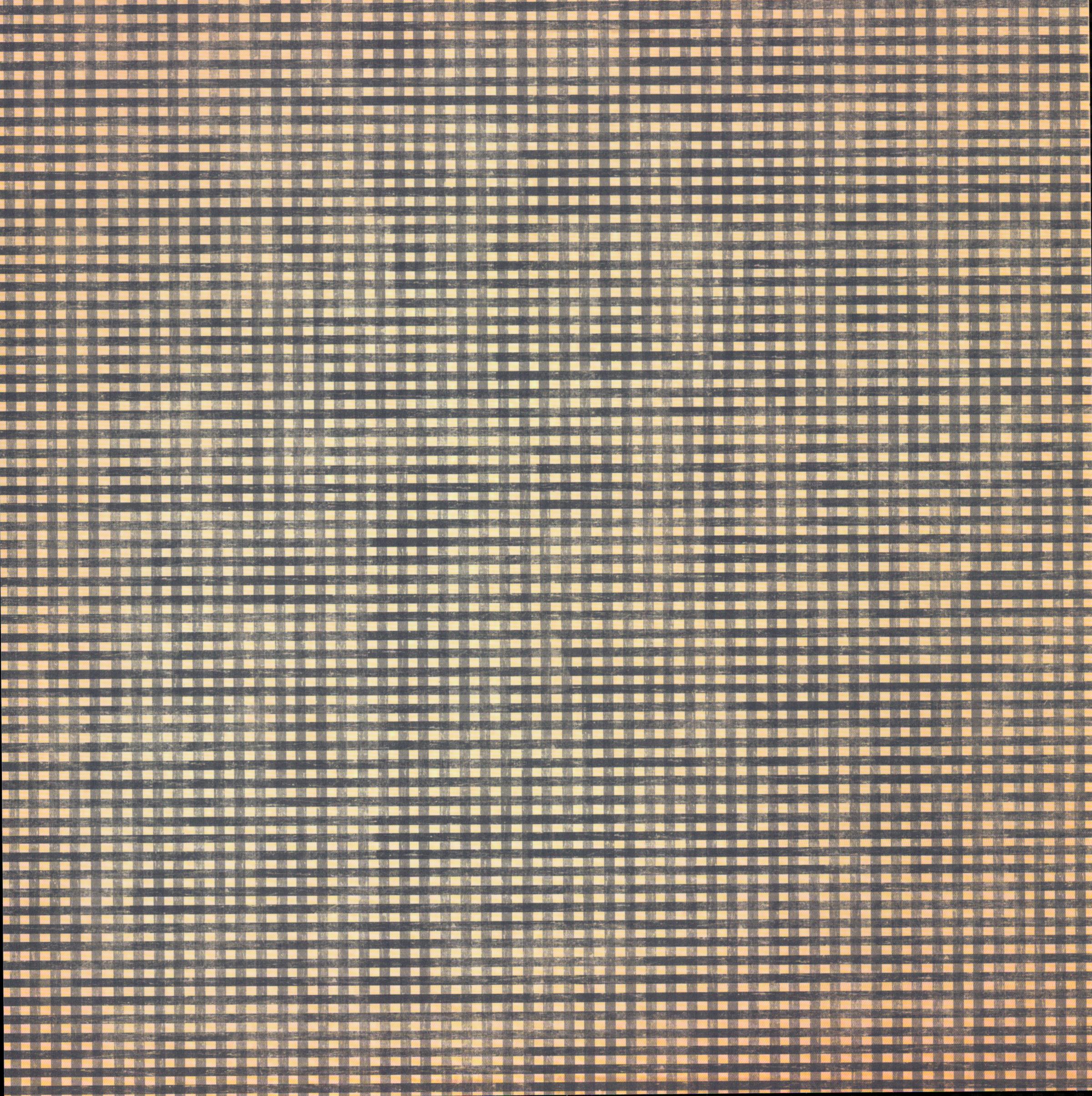 Tattered Gingham