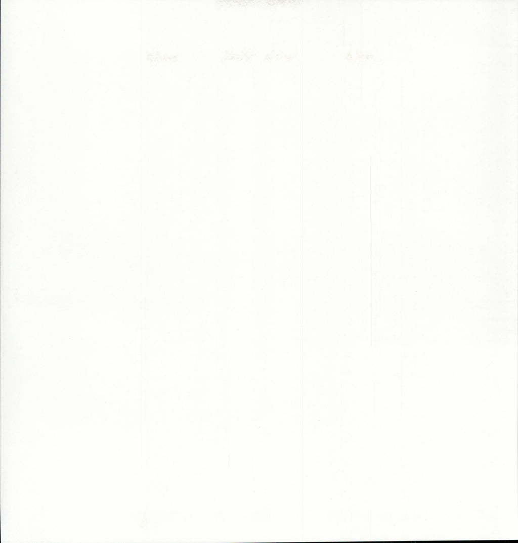 SEI Aunt Gerdi's Garden Dirty Gerti - solid white/off-white 12x12 cardstock reverse