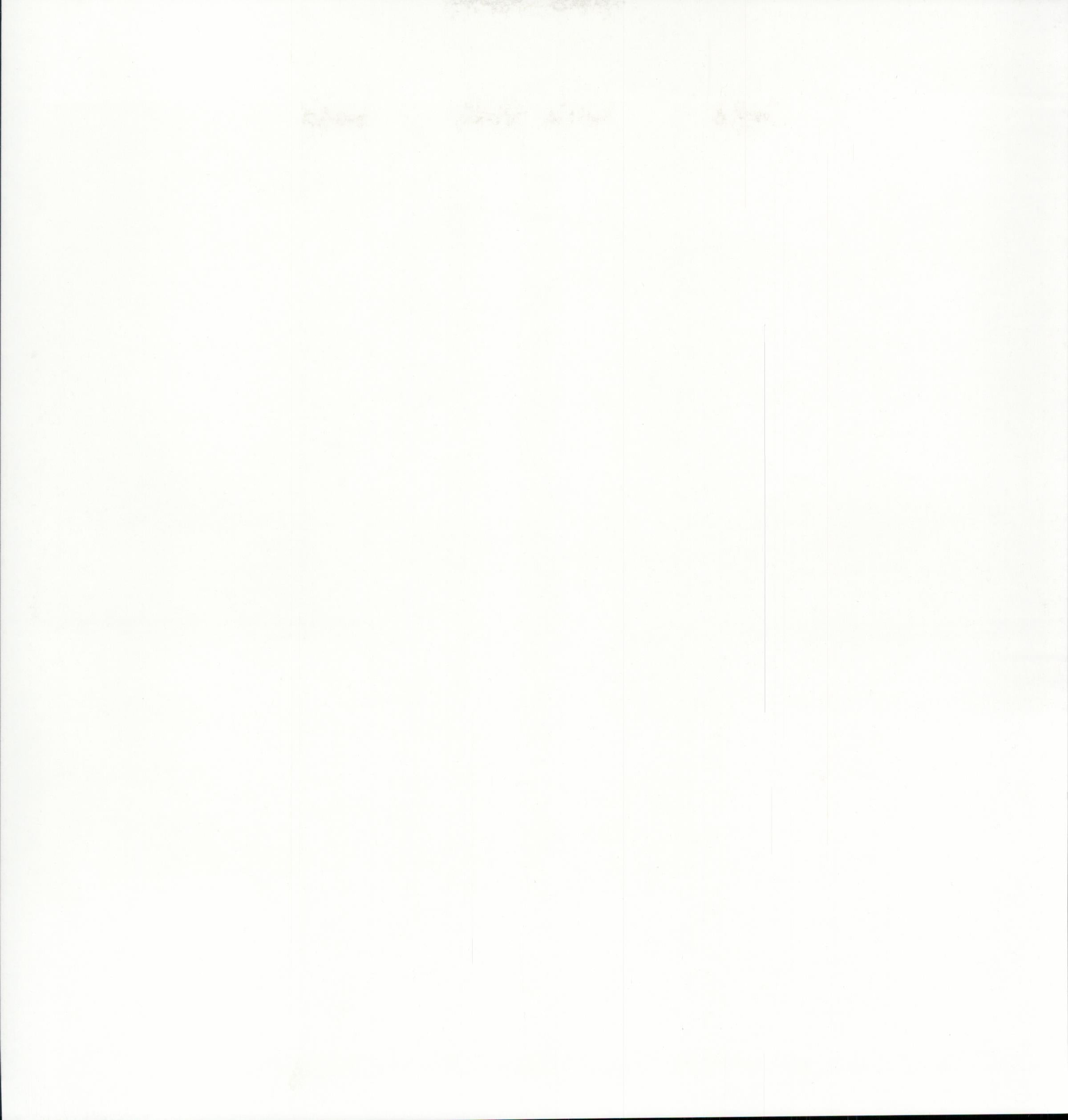 SEI Aunt Gerdi's Garden Dirty Gerti - solid white/off-white 12x12 cardstock reverse