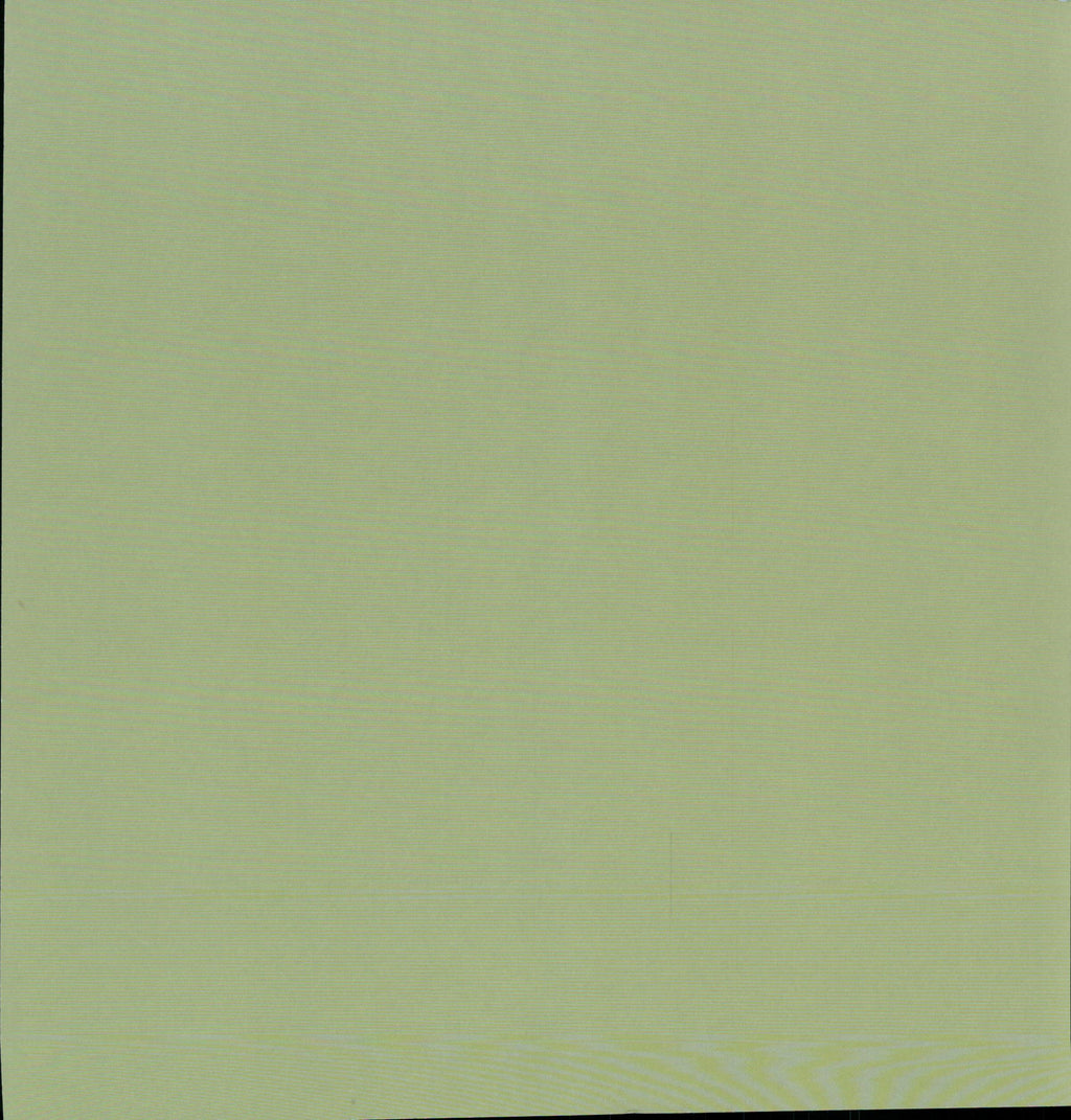SEI Aunt Gerdi's Garden Garden Gossip - solid sage green reverse 12x12 cardstock