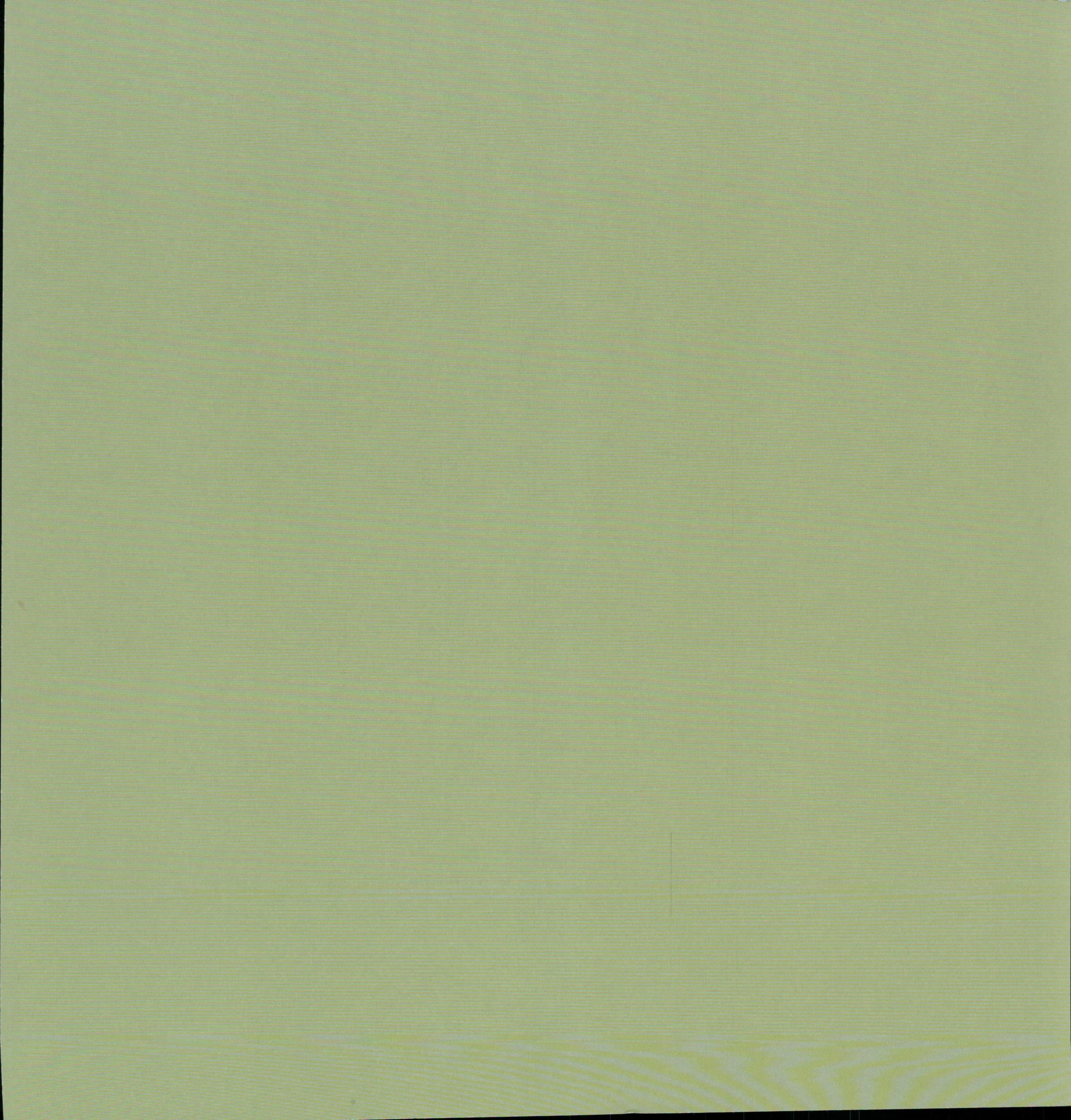 SEI Aunt Gerdi's Garden Garden Gossip - solid sage green reverse 12x12 cardstock