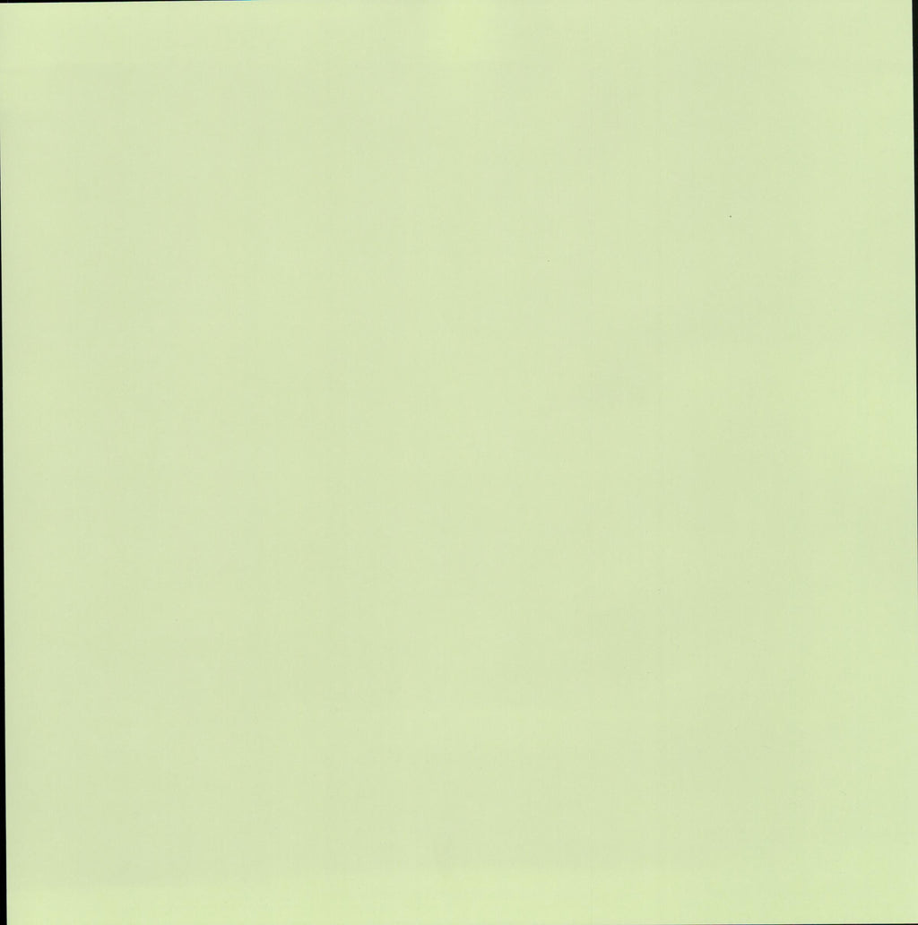 Solid Pale Mint Green 12x12 scrapbook paper - smooth even pale mint honeydew green background