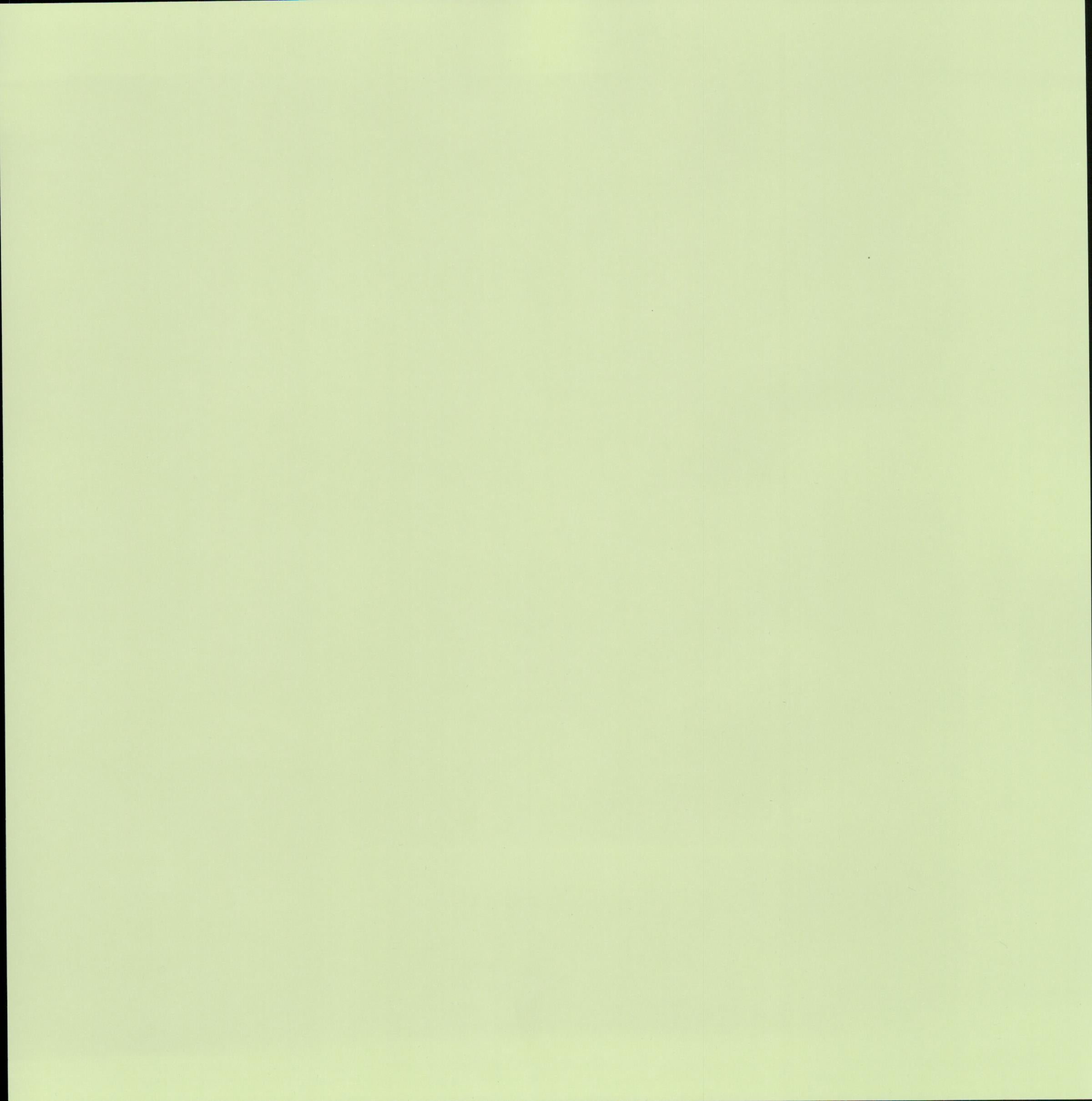 Solid Pale Mint Green 12x12 scrapbook paper - smooth even pale mint honeydew green background