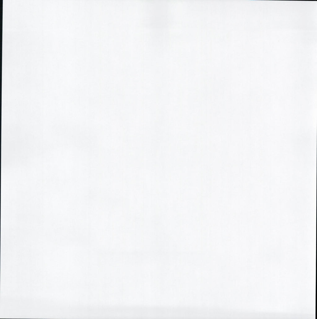 Solid Pale Mint Green 12x12 scrapbook paper - reverse side plain white