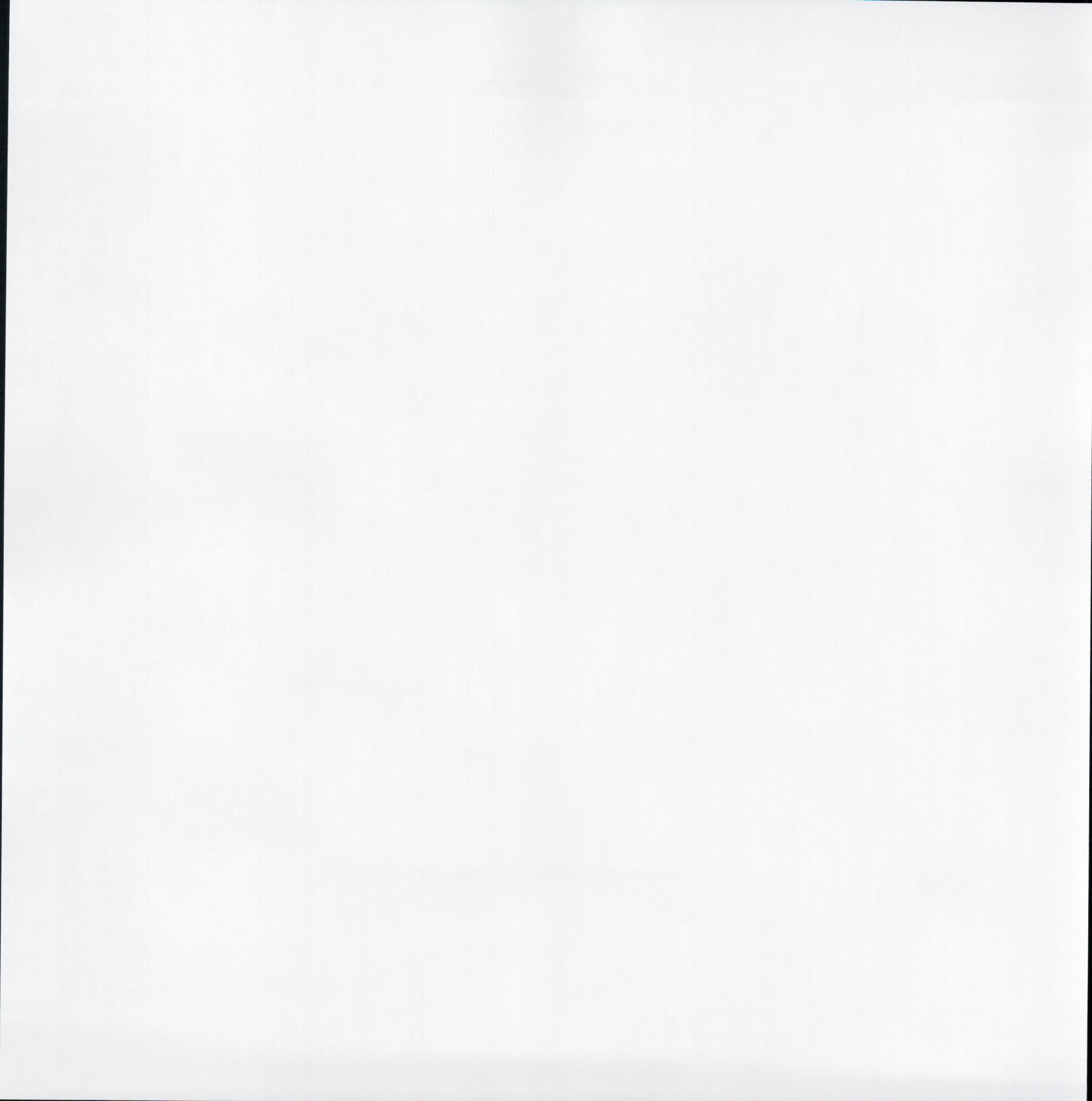 Solid Pale Mint Green 12x12 scrapbook paper - reverse side plain white