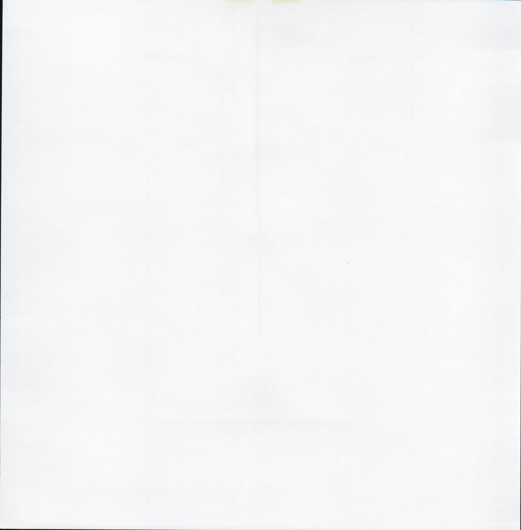 Pale Green Gingham 12x12 scrapbook paper - reverse side plain white
