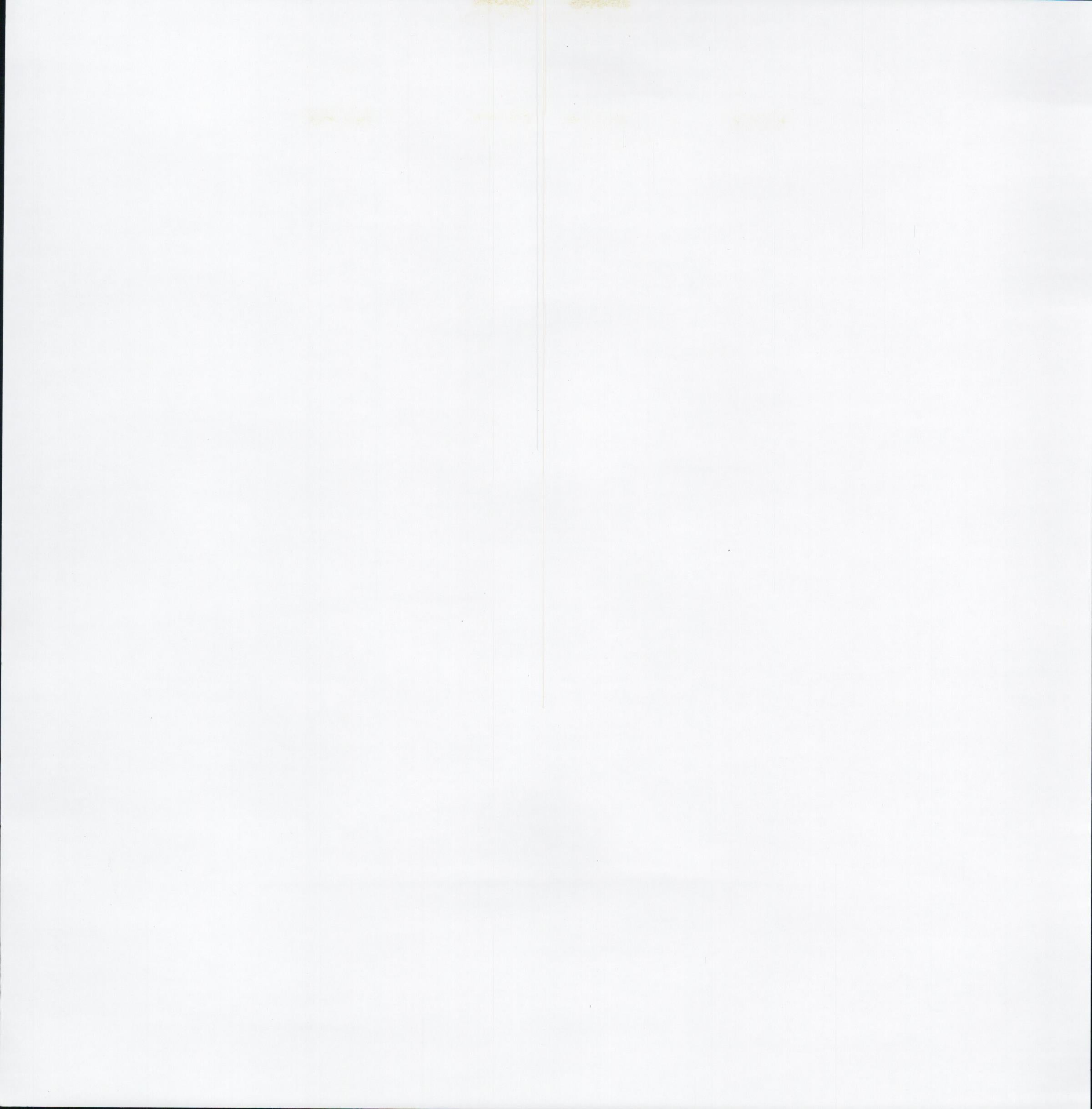 Pale Green Gingham 12x12 scrapbook paper - reverse side plain white