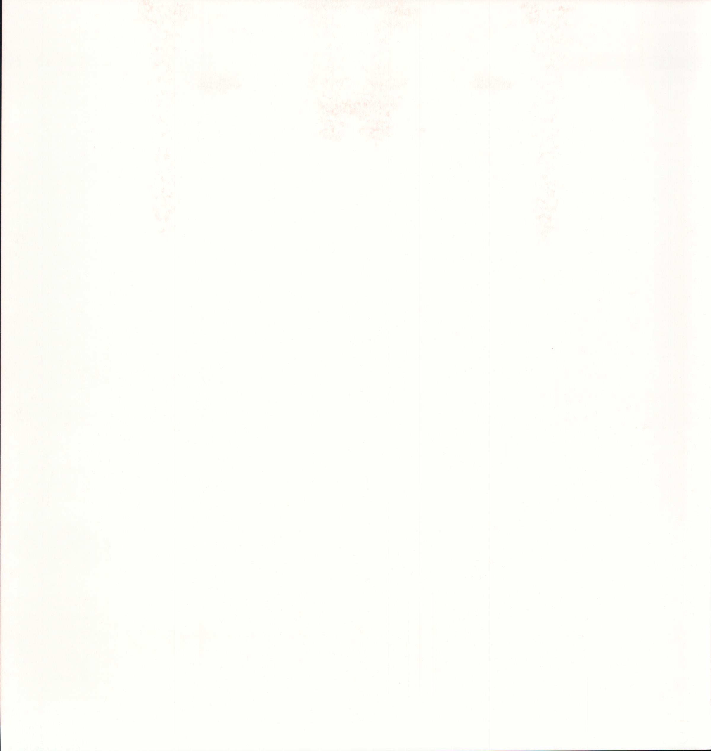 SEI Holiday Hoopla Holly Berry - solid white/off-white 12x12 cardstock reverse