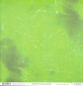 Rhythm n Blues -  n the Lime Light -  Solid