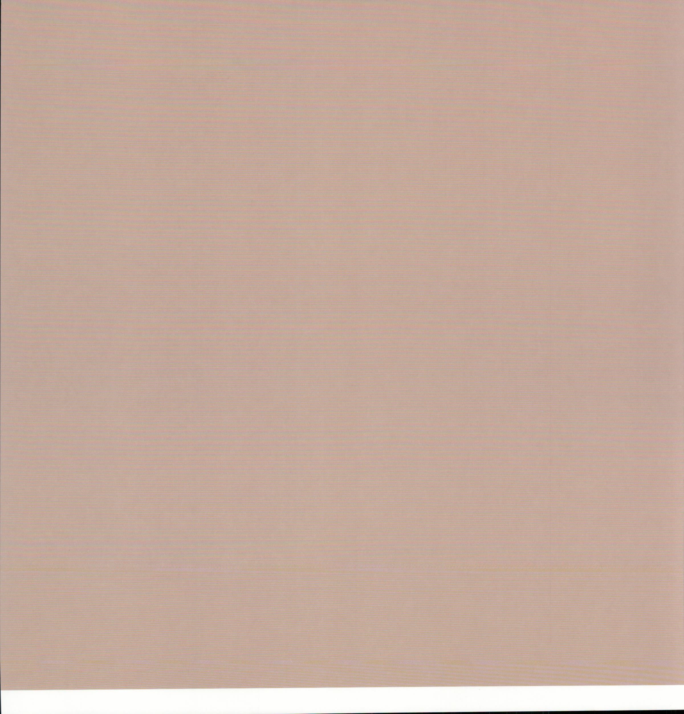 SEI Granny's Kitchen Paper Bag Daisy - solid blush taupe 12x12 cardstock reverse