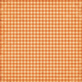 Little Autumn Blessings – Orange Gingham – 12×12 Printed Paper; low-resolution product preview. Copyright (c) 2026 Scrappy Seconds, LLC.
