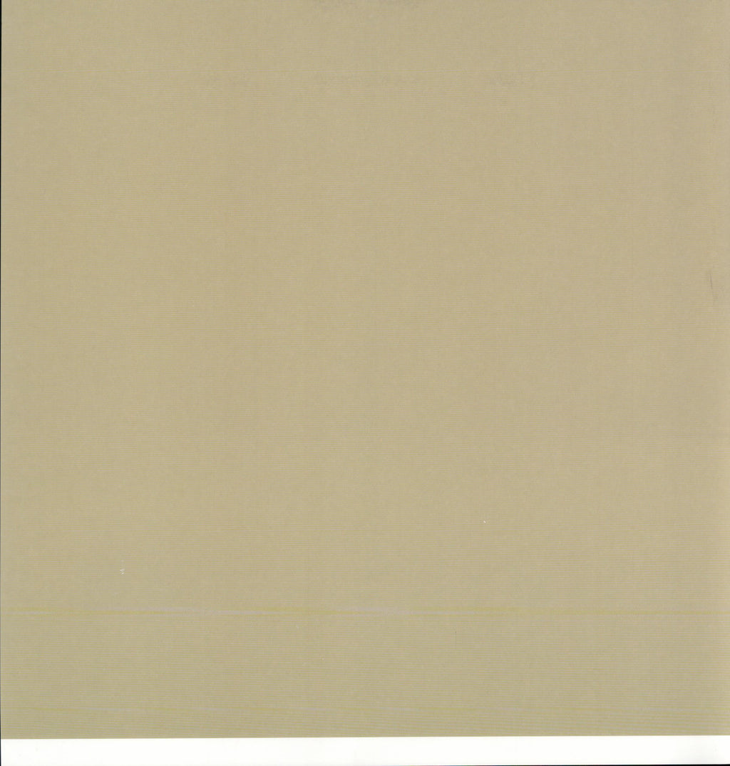 SEI Seasoned Sizzle Stripes - solid sage/khaki tan 12x12 cardstock reverse
