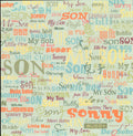 Flair Designs Son Words 12x12 scrapbook paper - multi-language multi-font son word collage in orange teal blue red olive yellow brown on soft sage mint green linen texture background