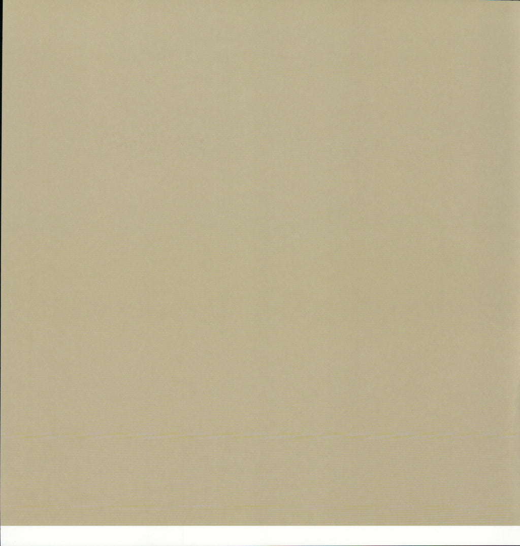 SEI Seasoned Spicy Specks - solid sage/khaki tan 12x12 cardstock reverse
