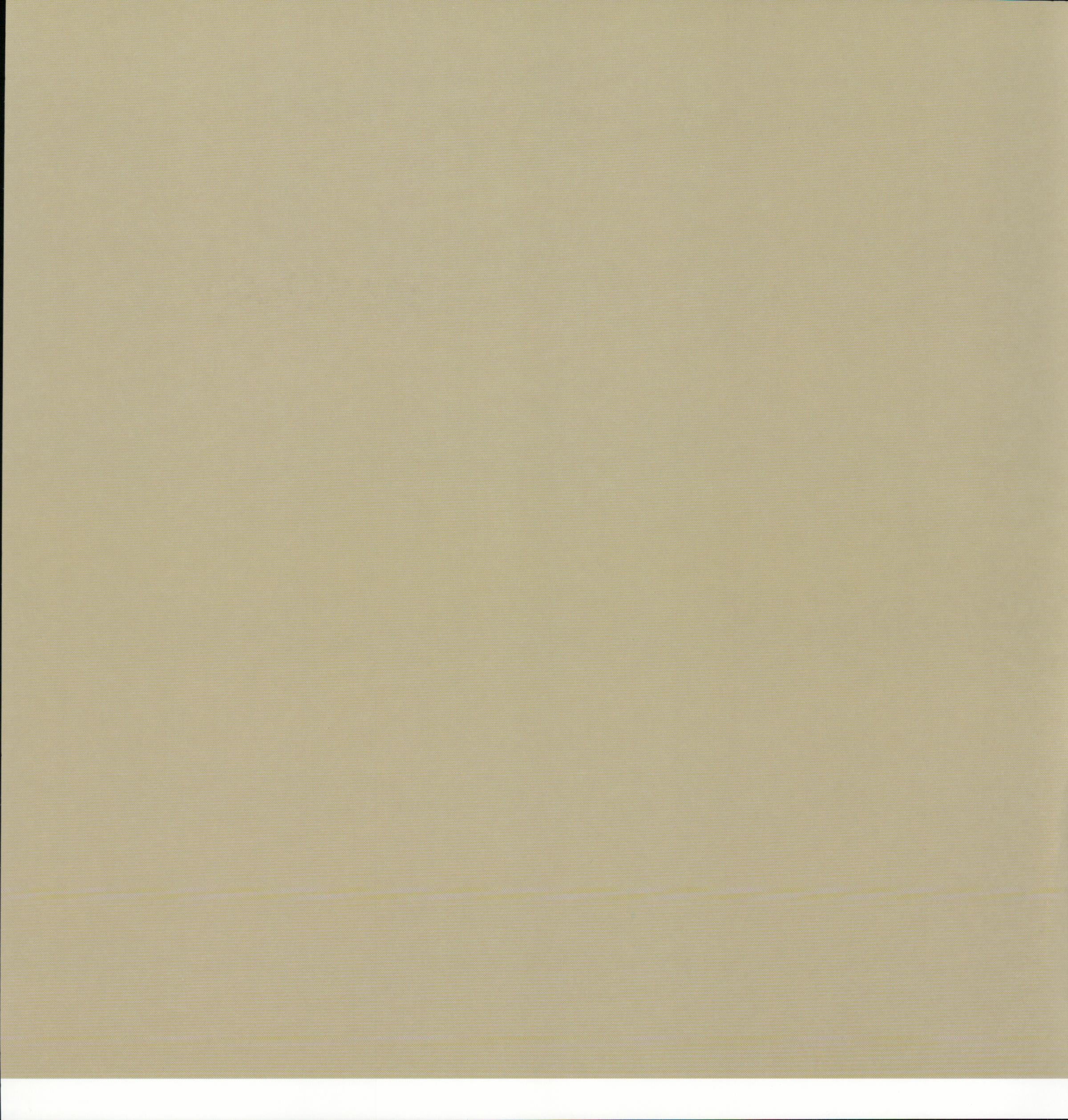 SEI Seasoned Spicy Specks - solid sage/khaki tan 12x12 cardstock reverse