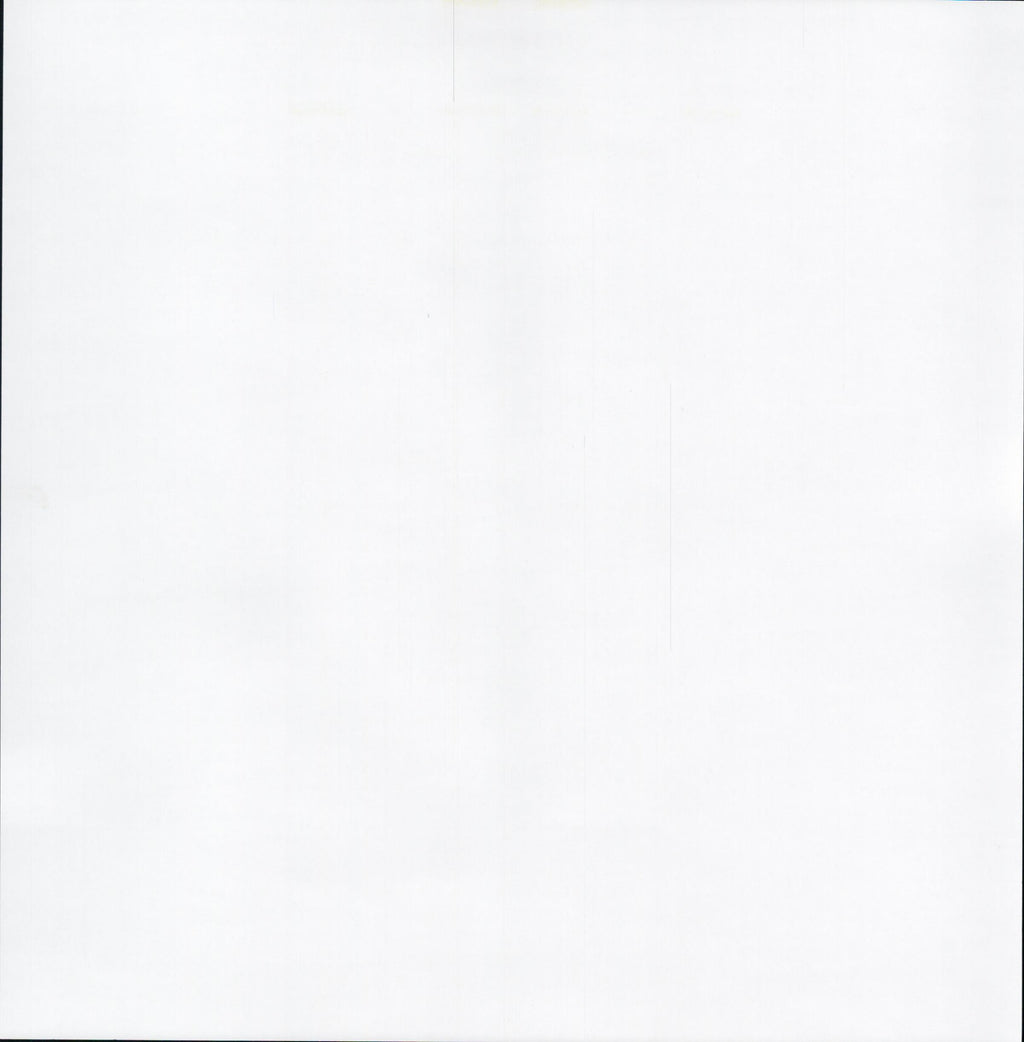 Pale Yellow Gingham 12x12 scrapbook paper - reverse side plain white